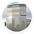 MetLife's 43 Certified
Usability Analysts
