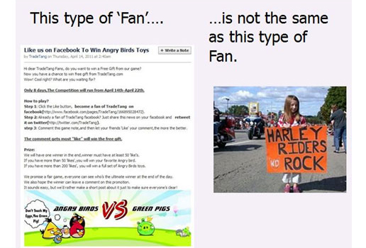 fan